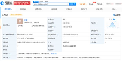 美團(tuán)新設(shè)信息咨詢公司 三億資本背后的戰(zhàn)略布局與行業(yè)影響